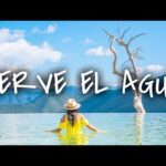 Balneario El Tule: aventura en Tamaulipas