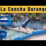 Balneario La Concha: Un oasis en medio del desierto de Durango