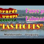 Balneario Las Flores: diversión y esparcimiento en Tampico