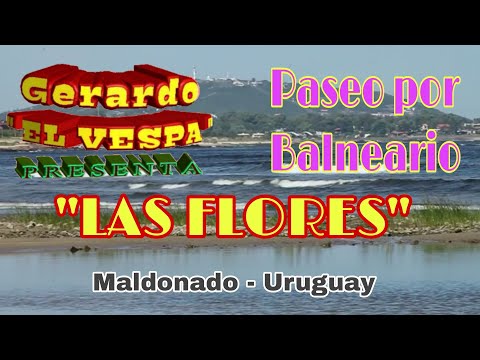 Balneario Las Flores: diversión y esparcimiento en Tampico