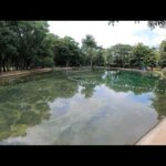 Balneario Las Rosas: un lugar encantador para disfrutar en Uruapan
