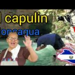 Balneario El Capulín: Un lugar para pasar un día en familia y disfrutar de la naturaleza