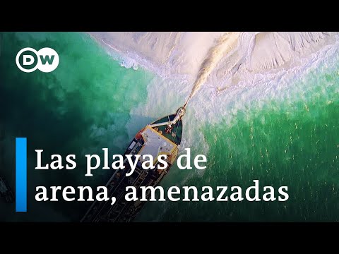 Club de Playa Costa de Oro: disfruta del mar y la arena en un ambiente exclusivo en Yucatán