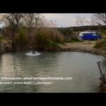 Balneario La Quemada: Disfruta de las aguas termales en un oasis natural