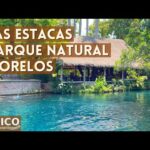 Balneario Las Estacas: un oasis natural en Tepoztlán