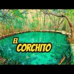 Balneario La Isla: Diviértete en un ambiente acuático en Mérida