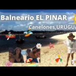 Sumérgete en las albercas de Balneario El Pinar