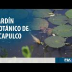Jardín Botánico de Acapulco: turismo de naturaleza en Acapulco